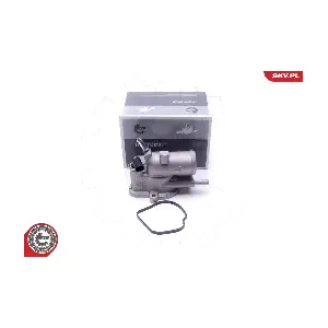 20SKV199 ESEN SKV