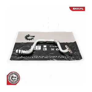 31SKV253 ESEN SKV