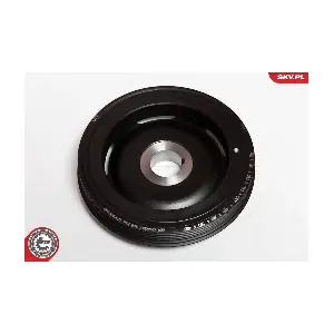 ESEN SKV 95SKV313