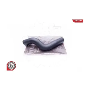 24SKV129 ESEN SKV