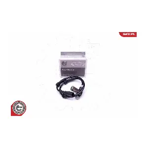 06SKV386 ESEN SKV