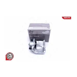 50SKV302 ESEN SKV