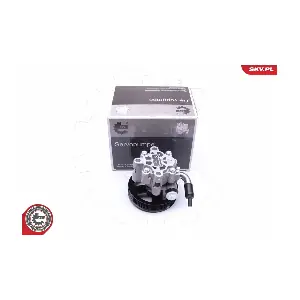 10SKV284 ESEN SKV