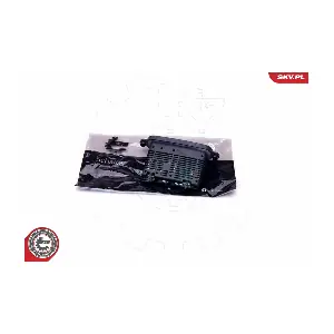 96SKV070 ESEN SKV