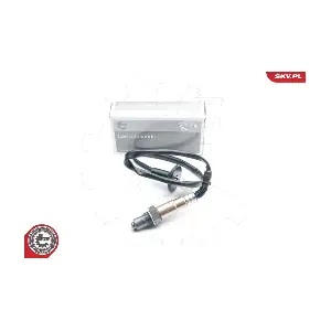 ESEN SKV 09SKV741