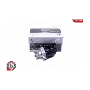 14SKV217 ESEN SKV