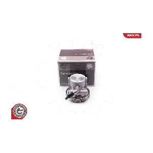 10SKV218 ESEN SKV