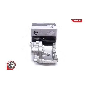 55SKV321 ESEN SKV