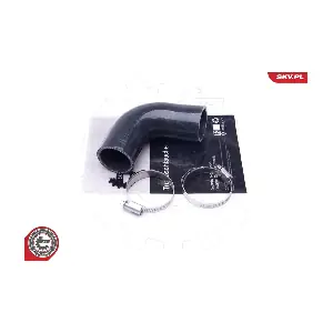 43SKV279 ESEN SKV
