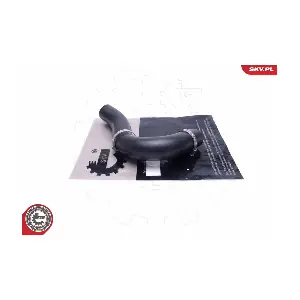54SKV123 ESEN SKV