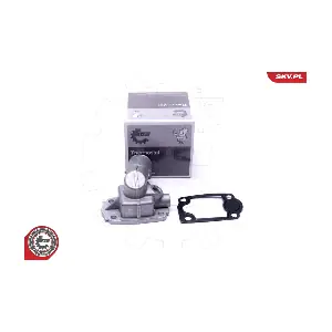 20SKV168 ESEN SKV