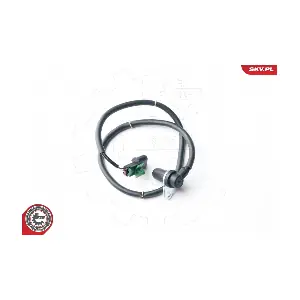 06SKV219 ESEN SKV