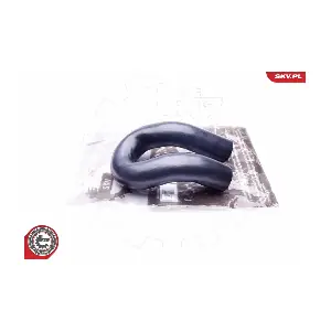 43SKV077 ESEN SKV