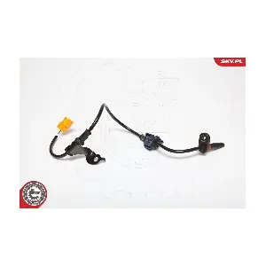 06SKV176 ESEN SKV