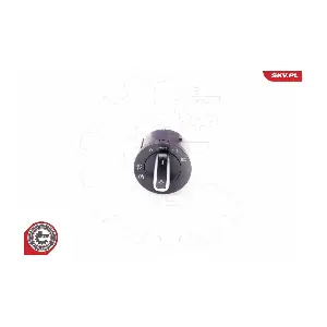 36SKV013 ESEN SKV