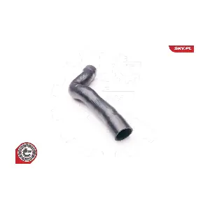24SKV601 ESEN SKV