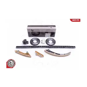 21SKV245 ESEN SKV