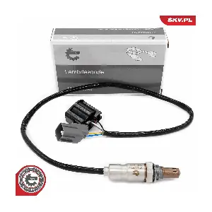 09SKV874 ESEN SKV