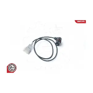 17SKV271 ESEN SKV