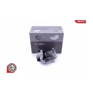 50SKV963 ESEN SKV