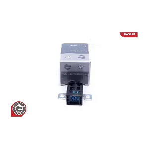 96SKV319 ESEN SKV