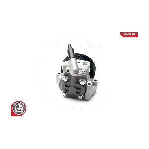 10SKV215 ESEN SKV