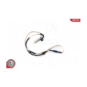 06SKV231 ESEN SKV