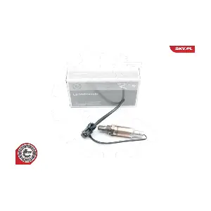 09SKV528 ESEN SKV