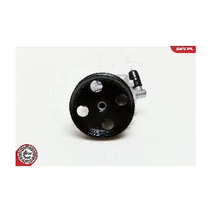 10SKV039 ESEN SKV