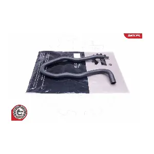 43SKV851 ESEN SKV