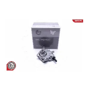 18SKV024 ESEN SKV