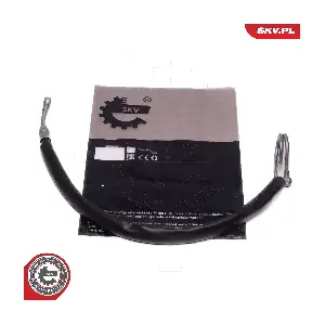 10SKV838 ESEN SKV
