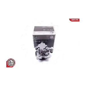 10SKV272 ESEN SKV
