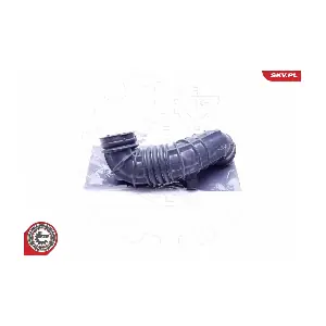24SKV484 ESEN SKV