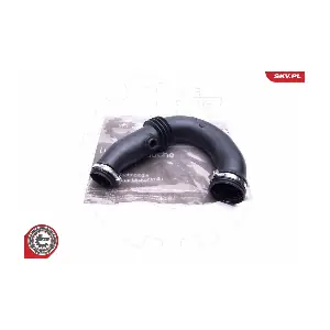24SKV729 ESEN SKV