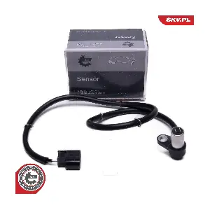 06SKV493 ESEN SKV
