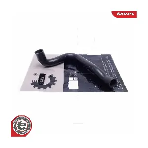 24SKV269 ESEN SKV