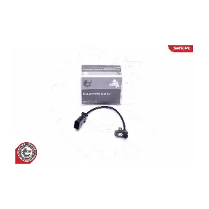 17SKV290 ESEN SKV