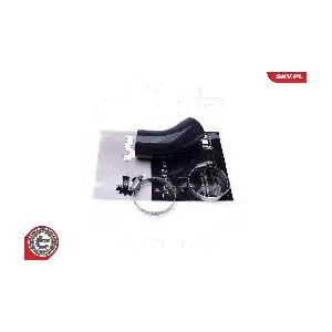 43SKV267 ESEN SKV