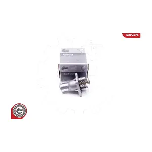 20SKV081 ESEN SKV