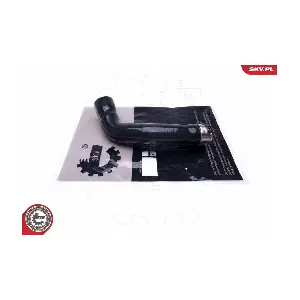 43SKV376 ESEN SKV