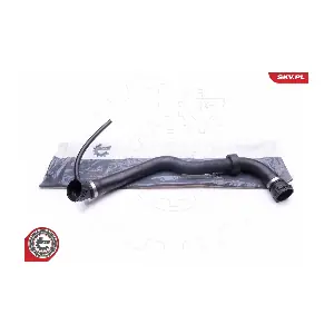 24SKV373 ESEN SKV