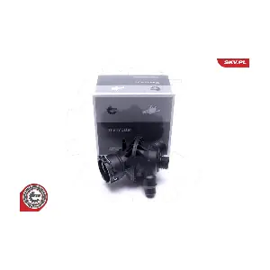 20SKV181 ESEN SKV