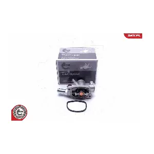 20SKV088 ESEN SKV