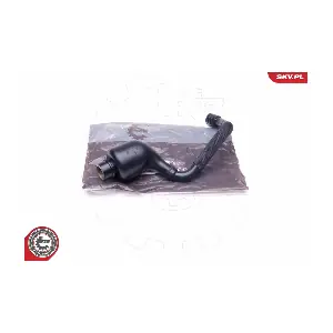 31SKV133 ESEN SKV