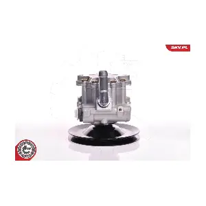 10SKV169 ESEN SKV