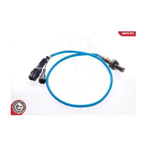 09SKV021 ESEN SKV
