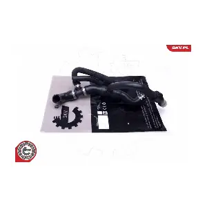 43SKV889 ESEN SKV