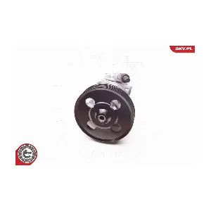 10SKV238 ESEN SKV