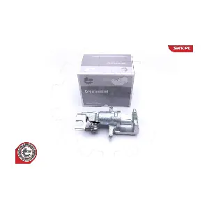 45SKV123 ESEN SKV